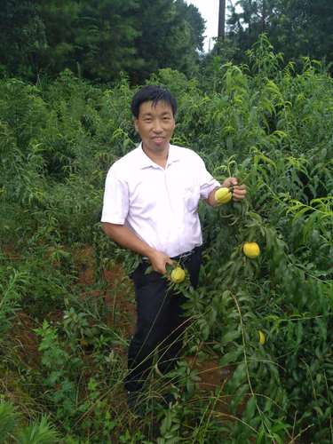 李基科 李基科