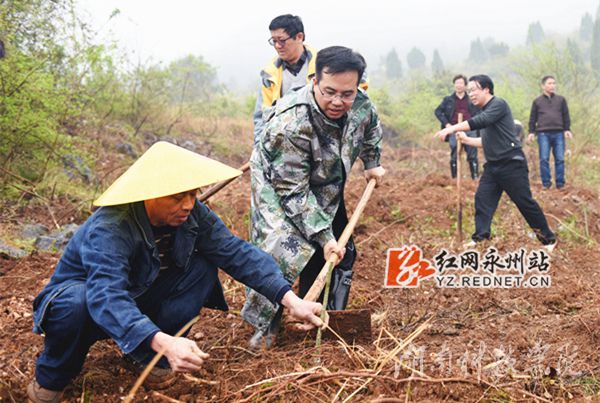 beat365唯一官网党委书记陈弘与潮水铺村村支书一同种下金槐树苗