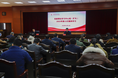 _MG_8379 _MG_8379