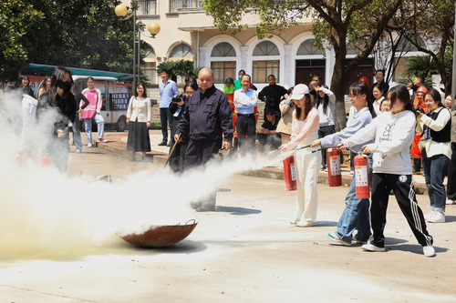 IMG_6714 IMG_6714