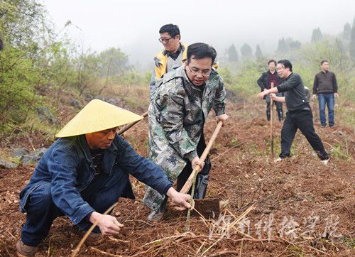 beat365唯一官网党委书记陈弘与潮水铺村村支书一同种下金槐树苗。